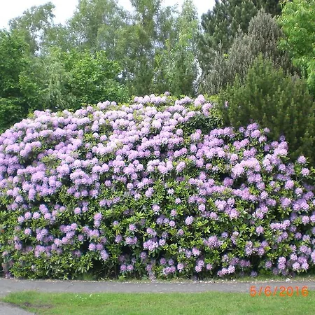 Daire Am Geiersberg