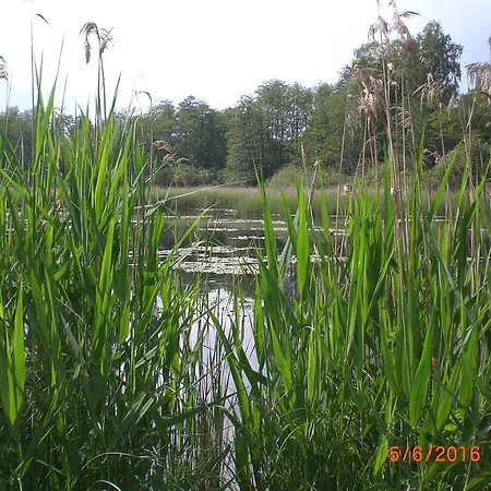 Daire Am Geiersberg *