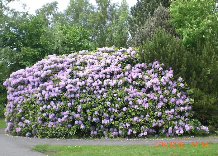 Apartamento Am Geiersberg