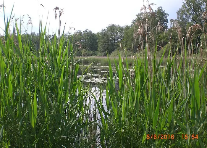 Apartamento Am Geiersberg *